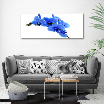 Foto glasbild Blaue Orchidee
