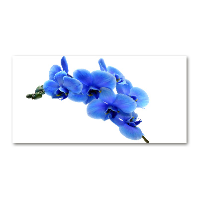 Foto glasbild Blaue Orchidee
