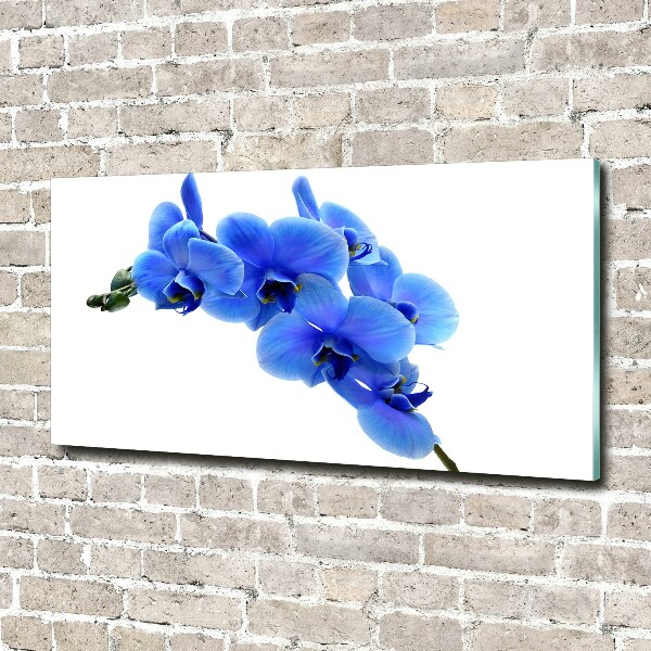 Foto glasbild Blaue Orchidee