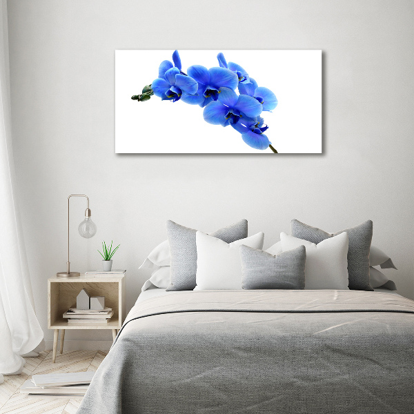 Foto glasbild Blaue Orchidee