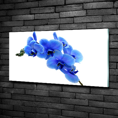 Foto glasbild Blaue Orchidee