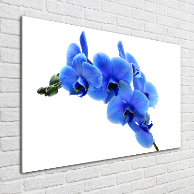 Foto glasbild Blaue Orchidee