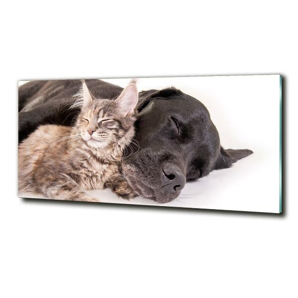 Glasbild Hund mit Katze