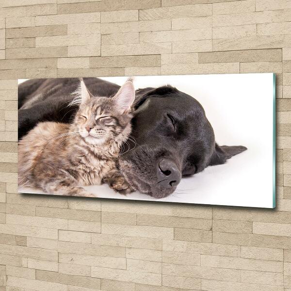 Glasbild Hund mit Katze