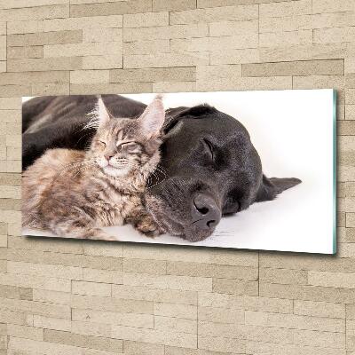 Glasbild Hund mit Katze