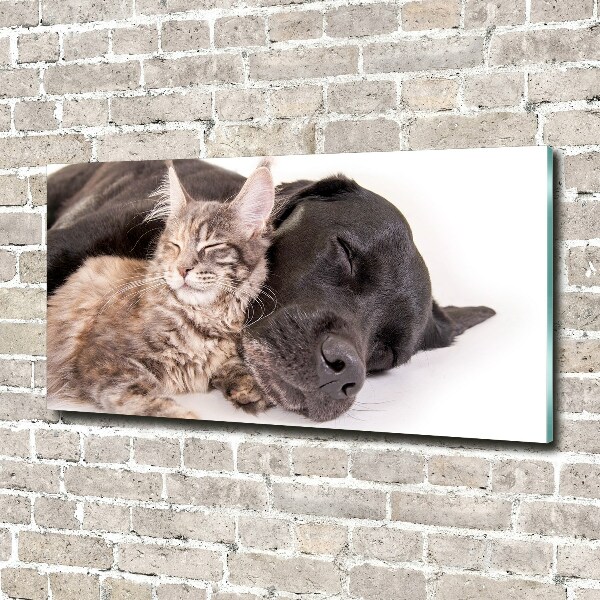 Glasbild Hund mit Katze