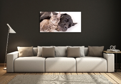 Glasbild Hund mit Katze