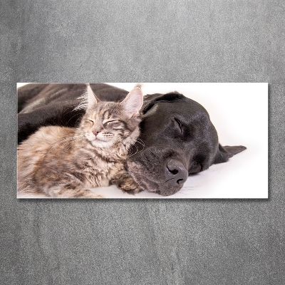 Glasbild Hund mit Katze