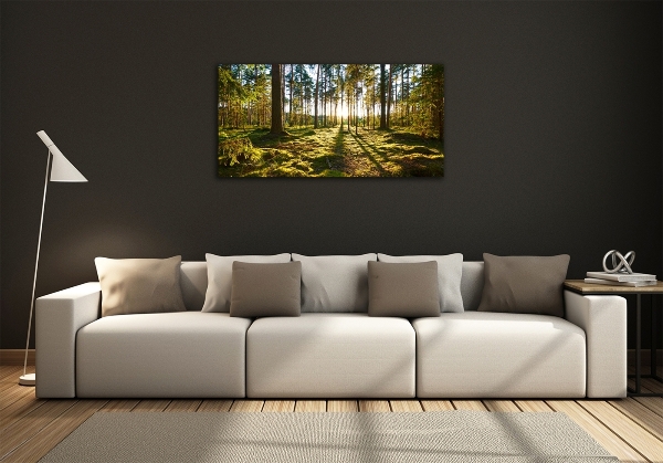 Foto glasbild Kiefernwald
