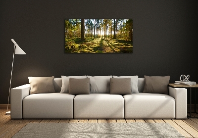 Foto glasbild Kiefernwald