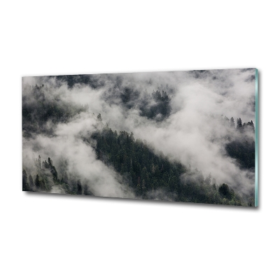 Glasbild Nebel über dem Wald