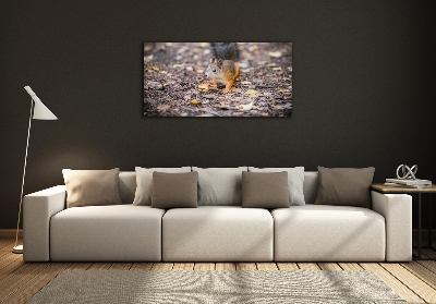 Bild auf glas Eichhörnchen