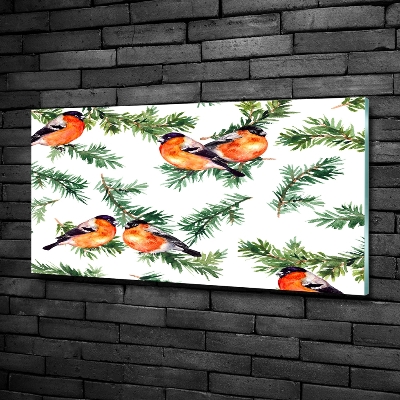 Glasbild Rotkehlchen auf einer Nadelbaum