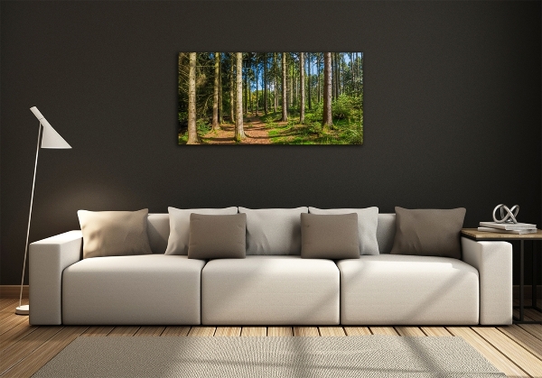 Foto glasbild Waldpanorama