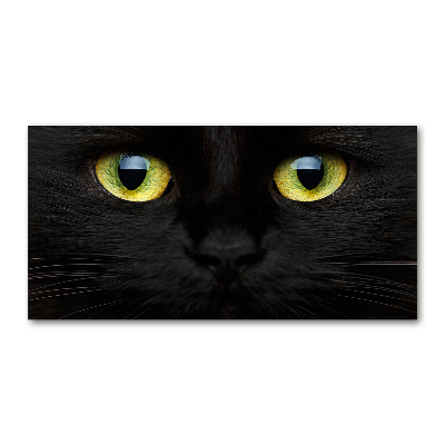 Glasbild Katzenaugen