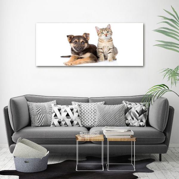 Foto glasbild Hund und Katze