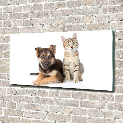 Foto glasbild Hund und Katze