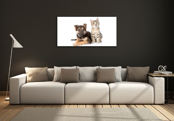 Foto glasbild Hund und Katze