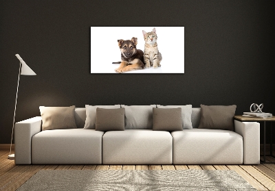 Foto glasbild Hund und Katze