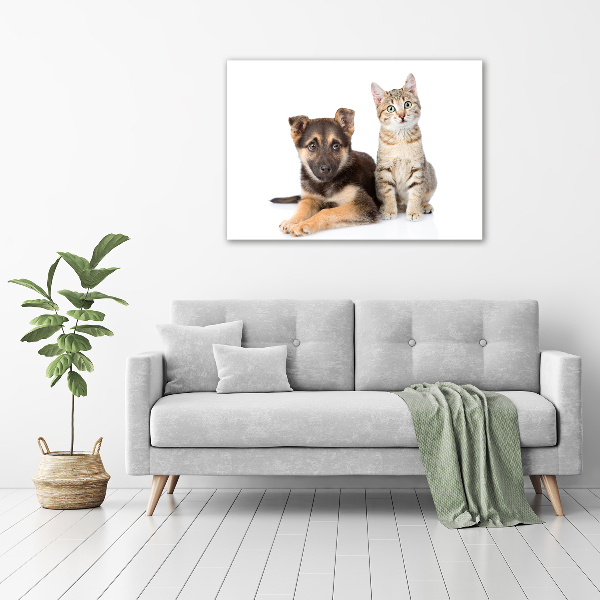 Foto glasbild Hund und Katze