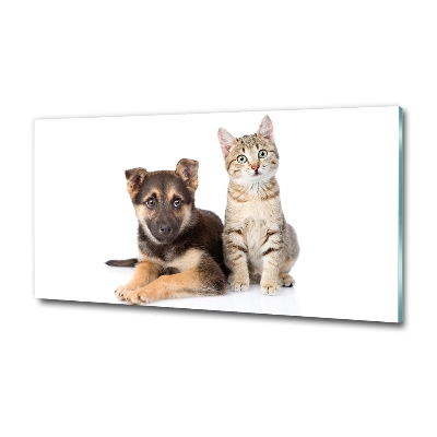 Foto glasbild Hund und Katze
