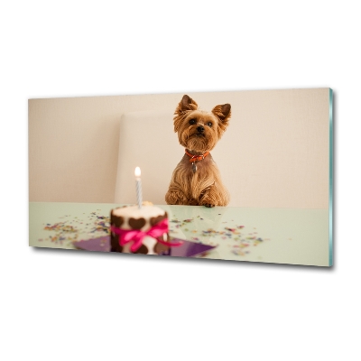 Bild auf glas Hund mit Kuchen
