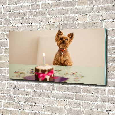 Bild auf glas Hund mit Kuchen