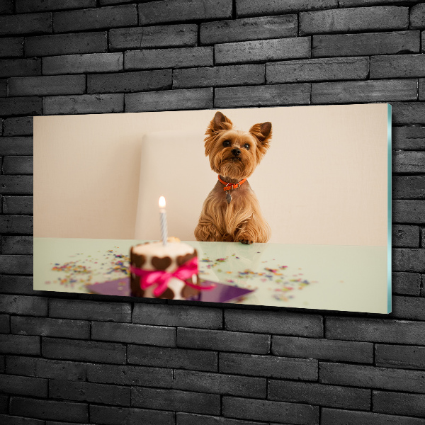 Bild auf glas Hund mit Kuchen