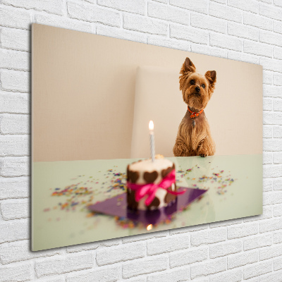 Bild auf glas Hund mit Kuchen