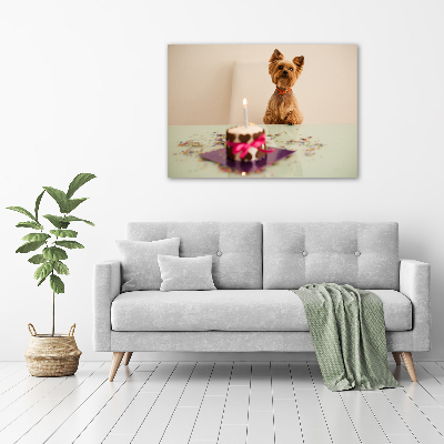Bild auf glas Hund mit Kuchen