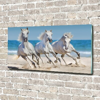 Bild auf glas Strand von White Horses