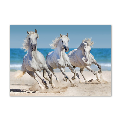 Bild auf glas Strand von White Horses