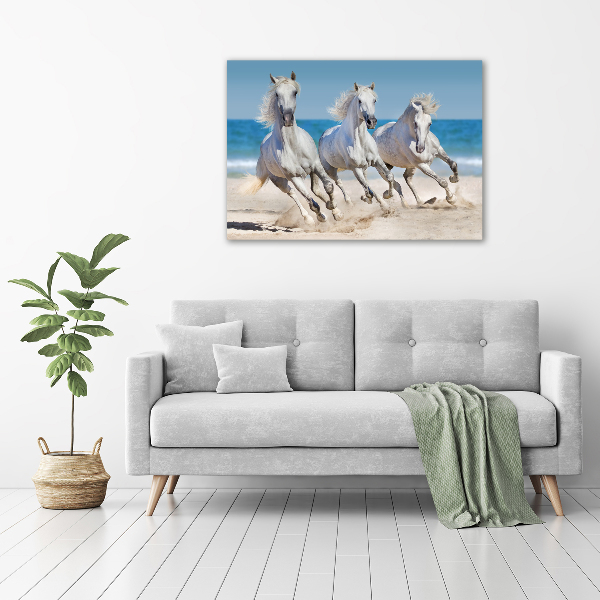 Bild auf glas Strand von White Horses
