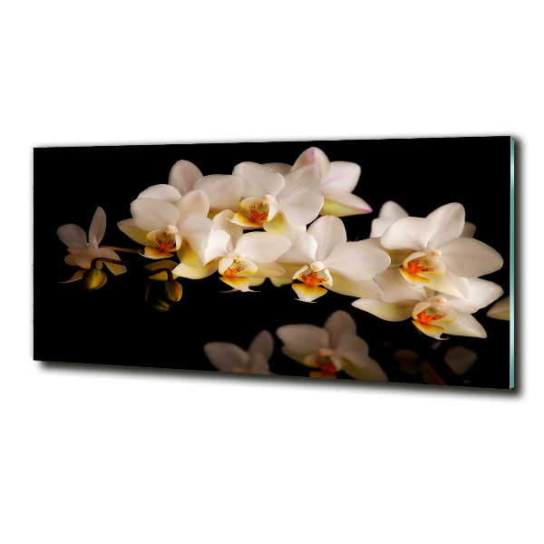 Foto glasbild Orchidee