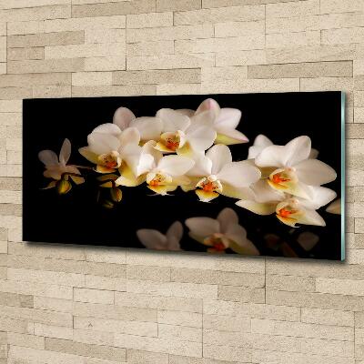 Foto glasbild Orchidee