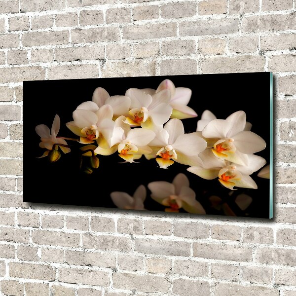 Foto glasbild Orchidee