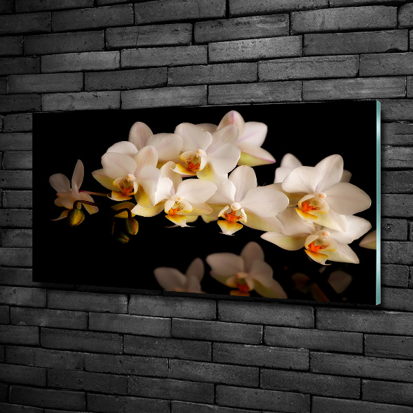 Foto glasbild Orchidee