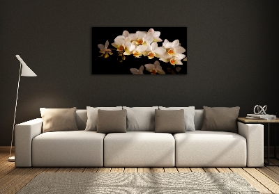 Foto glasbild Orchidee