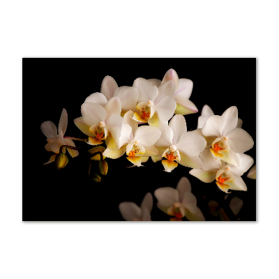 Foto glasbild Orchidee