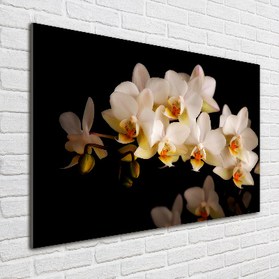 Foto glasbild Orchidee