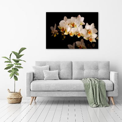 Foto glasbild Orchidee