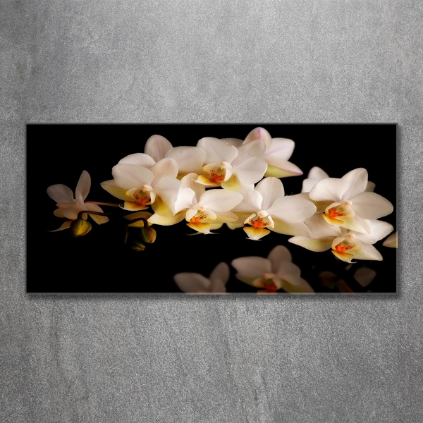 Foto glasbild Orchidee