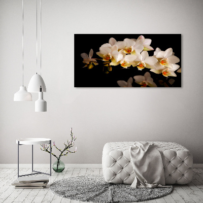 Foto glasbild Orchidee