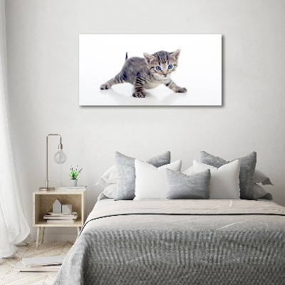 Glasbild Kleine Katze