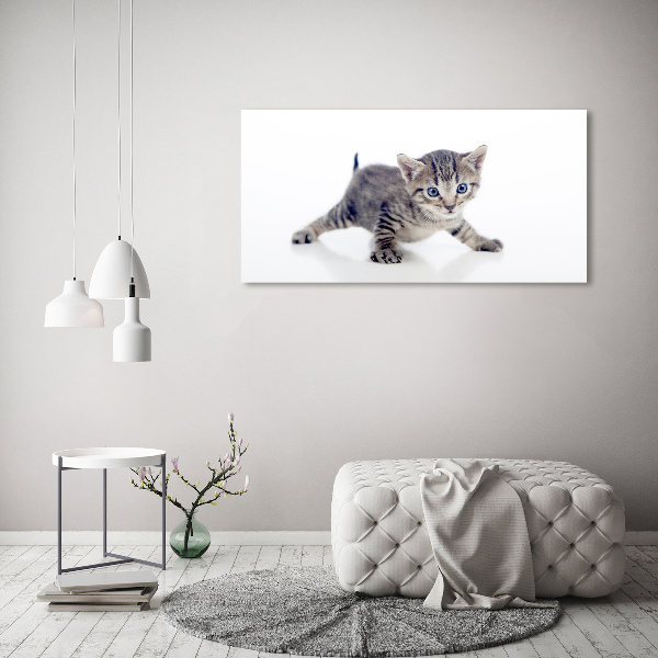 Glasbild Kleine Katze