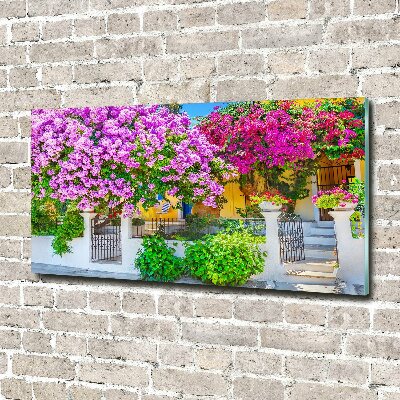 Bild auf glas Haus mit Bougainvillea