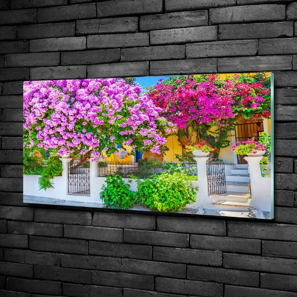 Bild auf glas Haus mit Bougainvillea