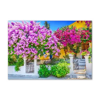 Bild auf glas Haus mit Bougainvillea