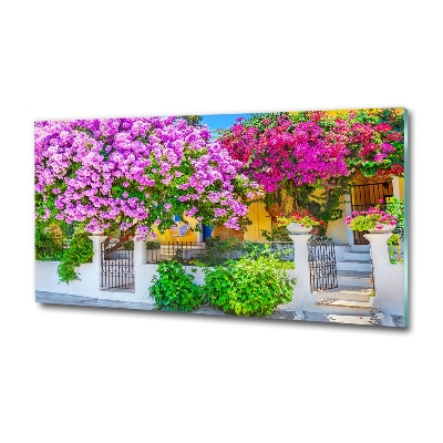 Bild auf glas Haus mit Bougainvillea