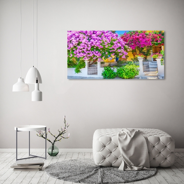 Bild auf glas Haus mit Bougainvillea